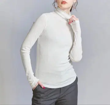 BEAUTY&YOUTH 코튼 골지 리브 시어 터틀넥 티셔츠