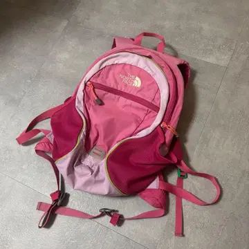 노스페이스 핑크 백팩