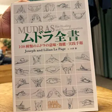 무드라 전서 108가지 무드라의 의미, 효능, 실천 절차