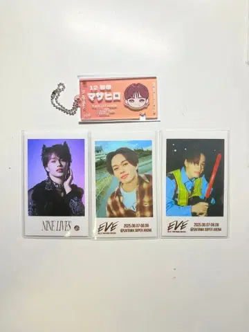 초특급 티켓 키링 EVE NINE LIVES 미니 포토 하와이안