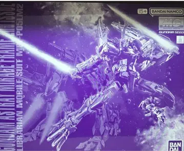 MG 1/100 건담 아스트레이 미라쥬 프레임 세컨드 이슈