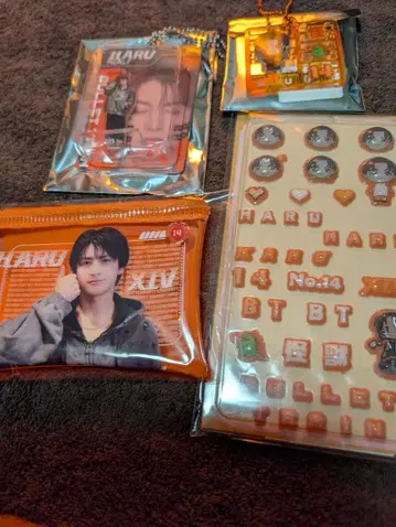 초특급 REAL? 키링 외 4점 하루