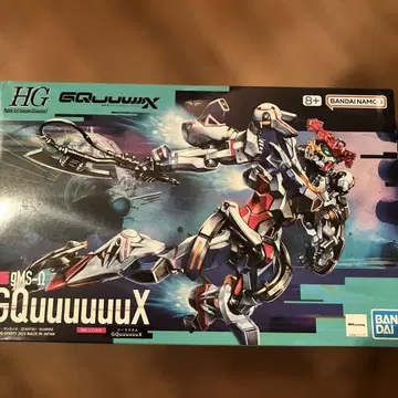HG GQuuuuuX 10점