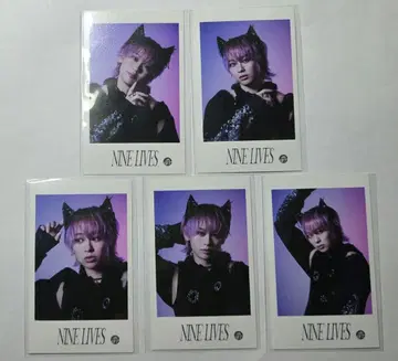 초특급 미니 사진 슈야 5장