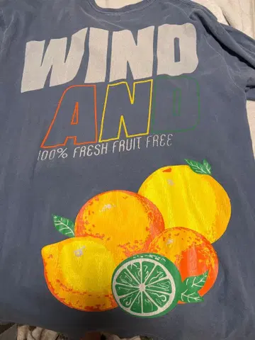 WIND AND SEA 후르츠 그래픽 T셔츠