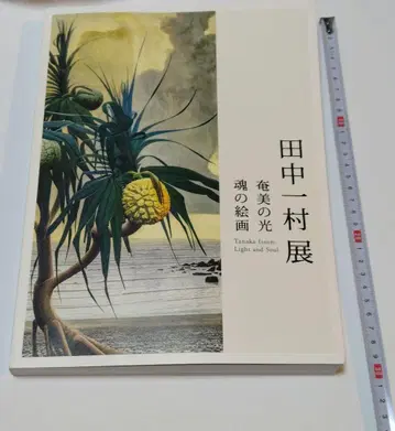 다나카 잇손전 아마미의 빛 혼의 회화 도록