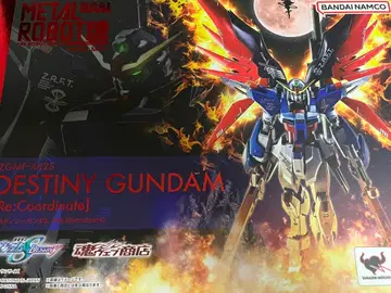 METALROBOT혼 데스티니 건담 Re:Coordinate