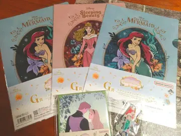 프린세스 클리어 파일