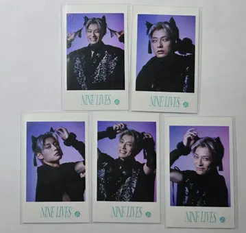 초특급 미니 사진 알로하 5장