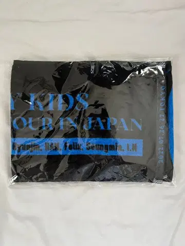 Stray Kids 2nd World Tour 머플러 타월 도쿄 B