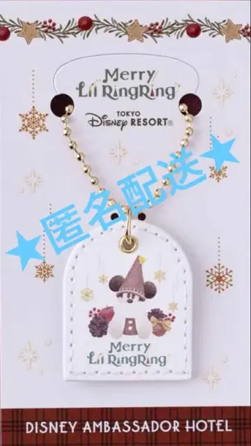 하이피리온 라운지 릴린린 2025 참