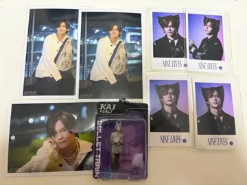 초특급 REAL? 카이 굿즈 묶음 판매