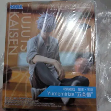 주술회전 회옥 옥절 Yumemirize 고죠 사토루