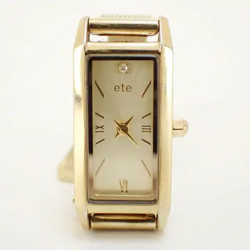 AB569 ete 스퀘어형 손목시계 골드 메쉬