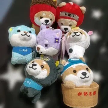 여행하는 마메시바 홋카이도 미에 묶음 판매