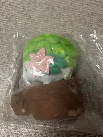포켓몬 봉제 인형 Pokemon Grassy Gardening 쉐이미