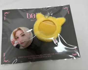 StrayKids 스키즈 POPUP Do it 필릭스 포가리