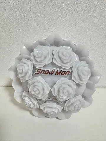 Snow Man 응원봉 1st Stadium Live Snow World