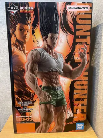 HUNTER x HUNTER 라스트 원상 곤 ~성장ver~