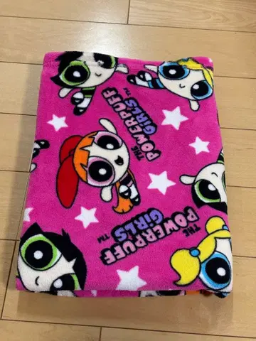 금일 한정! 파워퍼프걸스 플리스 담요