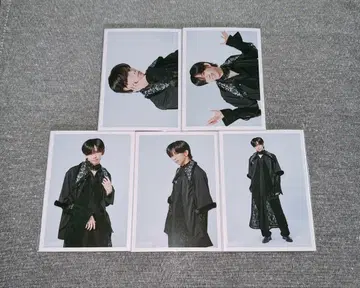 초특급 료가 NINE LIVES 브로마이드 A 컴프 REAL?