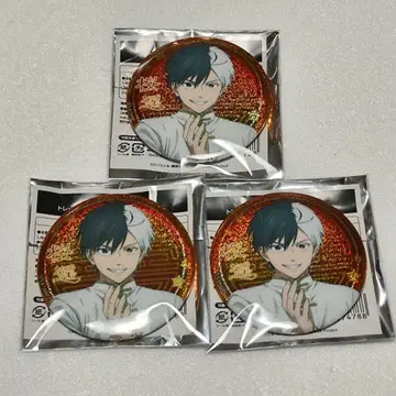 WIND BREAKER 사쿠라 하루카 도큐핸즈 쿵푸 캔뱃지