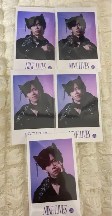 초특급 료가 NINE LIVES 미니 사진