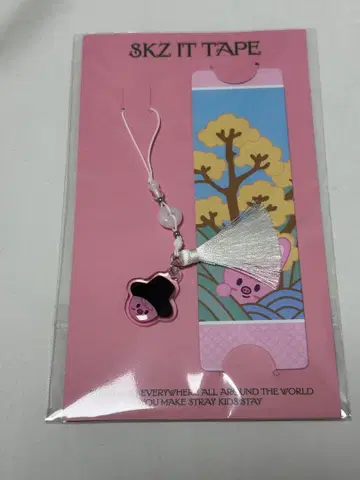 StrayKids 스키즈 POPUP Do it 창빈 돼끼