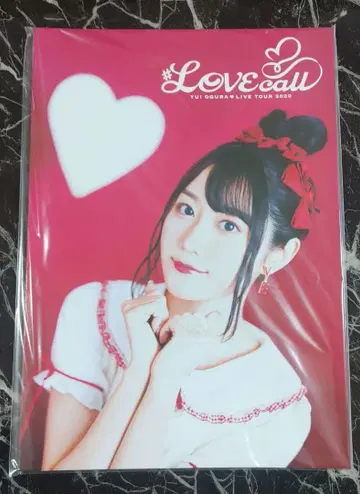오구라 유이 LIVE TOUR 2020 LOVE 팜플렛