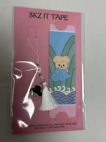 StrayKids 스키즈 POPUP Do it 승민 파피무