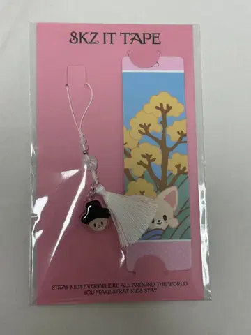 StrayKids 스키즈 POPUP Do it 아이엔 폭시니