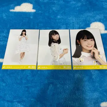 노기자카46 브로마이드 컴프 후카가와 마이 하르지온이 피는 무렵