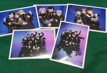 초특급 NINE LIVES 브로마이드 연결 집합 세트