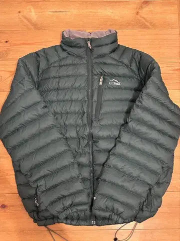 엘엘빈 L.L.BEAN 850 필 파워다운