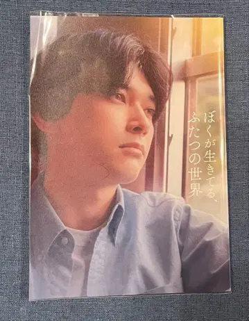 내가 살아가는 두 개의 세계 팜플렛 요시자와 료