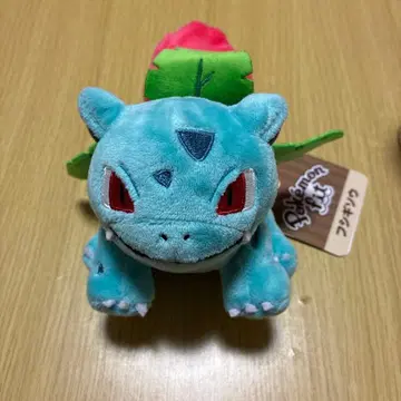 포켓몬 센터 한정판 이상해풀 Pokemon fit 봉제 인형