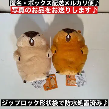 2종 컴프! 마모트의 모토토토 절규 기믹