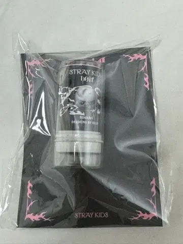 StrayKids 스키즈 POPUP Do it 스탬프 포가리