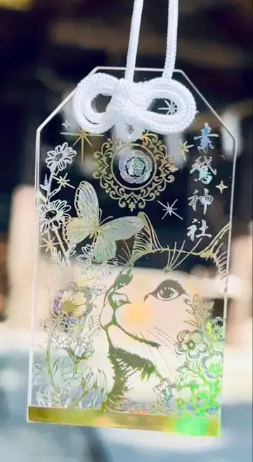 R*y님 소아 신사 [앞날을 꿰뚫어보는 투명 부적]