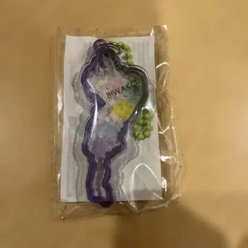 비와코 아크릴 키링