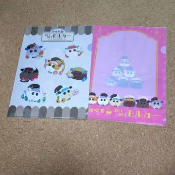 모루카 클리어 파일 카페