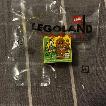 [ 가격 인하 ] 레고랜드 크리스마스 블록 2025 LEGO