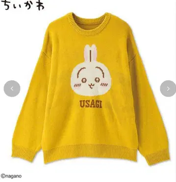 치이카와 여성용 니트 풀오버