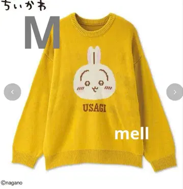 치이카와 여성용 니트 풀오버