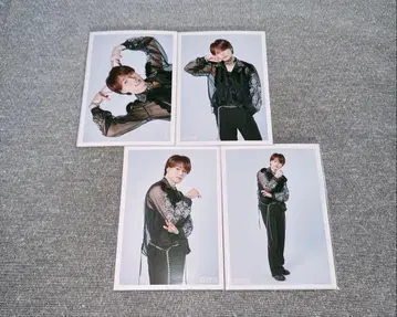 초특급 마사히로 브로마이드 NINE LIVES A 세미 컴프