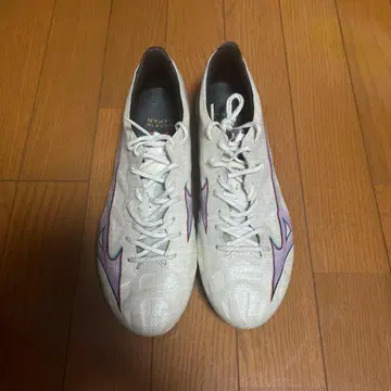 미즈노 알파 JAPAN