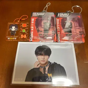 초특급 REAL? 하루