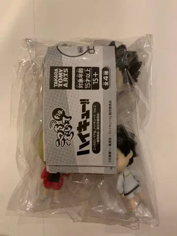 전종 세트 코치무이테Fig. 하이큐