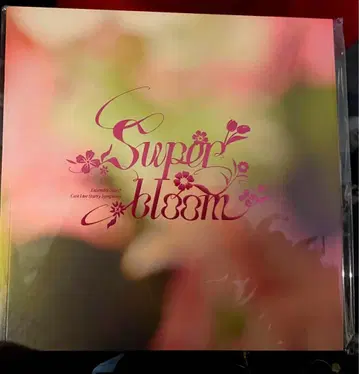 앙스타 스타포니 팜플렛 혜택