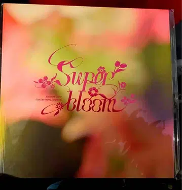 앙스타 스타포니 팜플렛 혜택